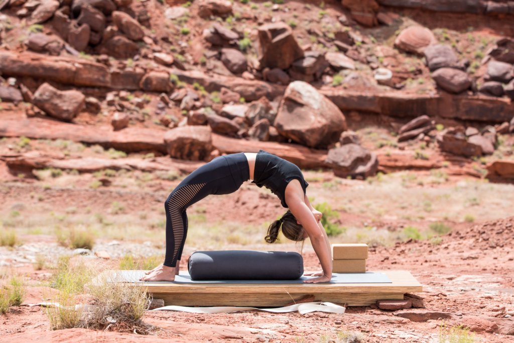 Peak Pose: Urdhva Dhanurasana - Hugger Mugger